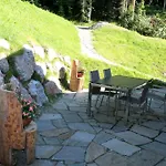 Mühle Saalfelden